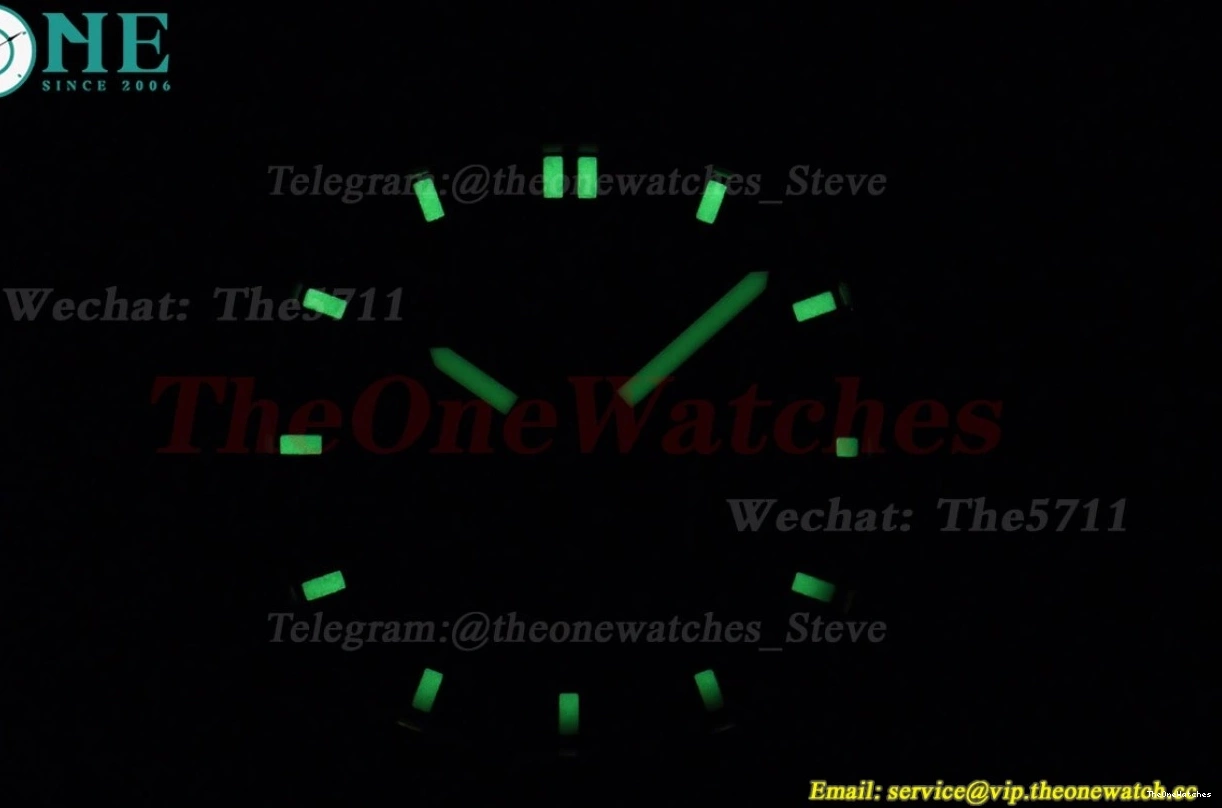 PPF Dial Aquanaut Lady Quartz 5067 RU Dia Brown SS 0225